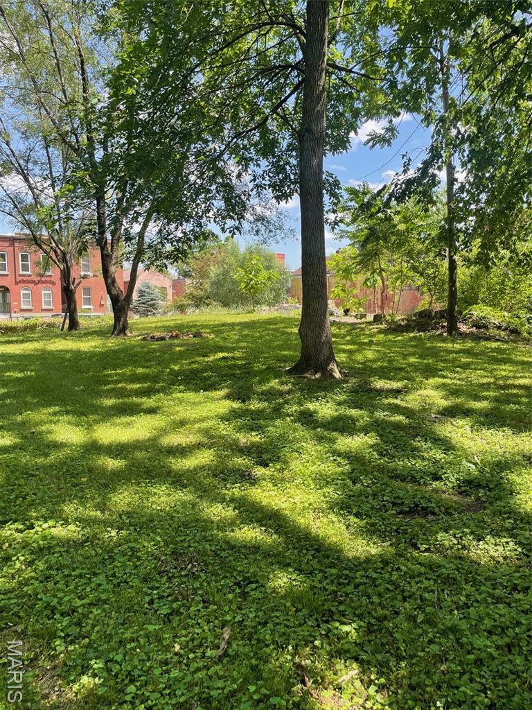 2923 Texas Ave, Saint Louis, MO 63118 - photo 1