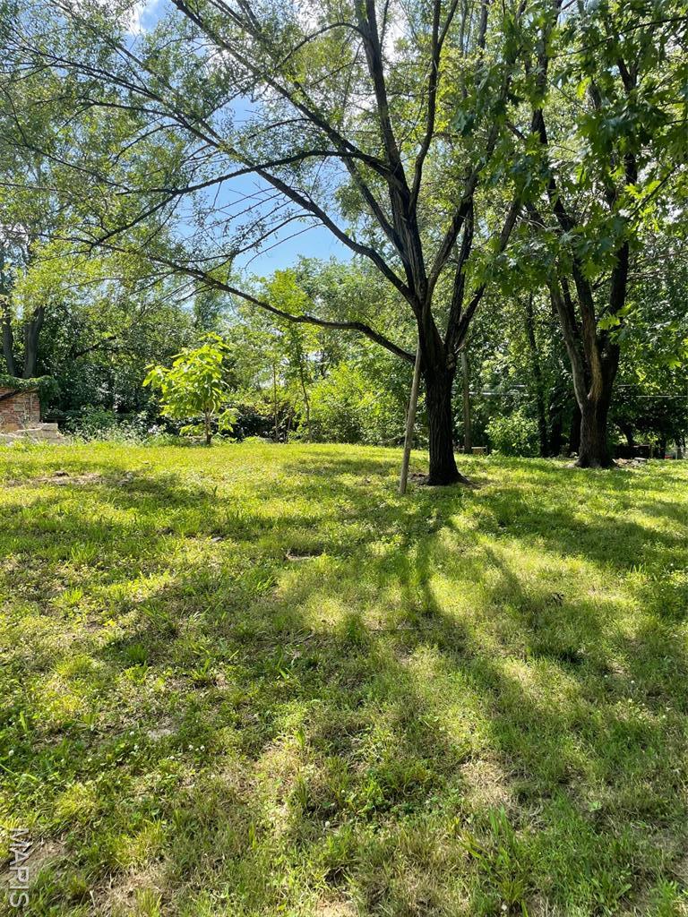 2923 Texas Ave, Saint Louis, MO 63118 - photo 2