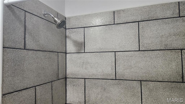 229 S Main St, Licking, MO 65542 - detailed view of tiled shower