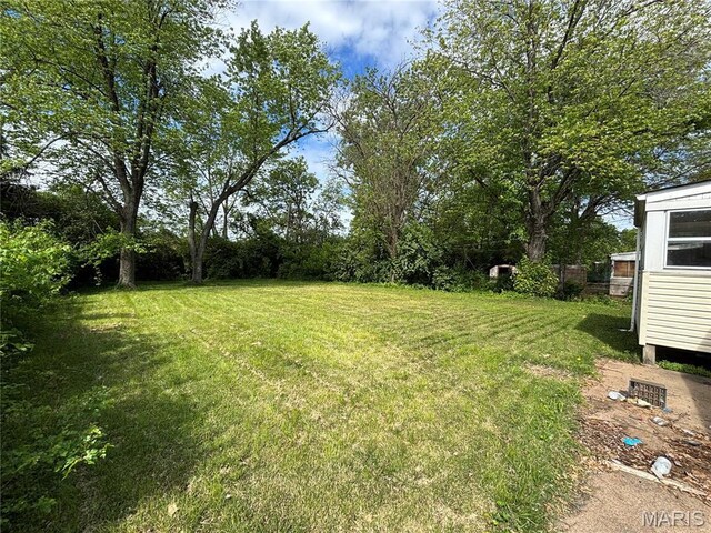 3032 Meadowlark Ave, Saint Louis, MO 63136 - photo 5