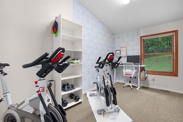 19072 Bear Trail Rd, Glencoe, MO 63038 - exercise room featuring lofted ceiling, carpet flooring, wallpapered walls, and baseboards