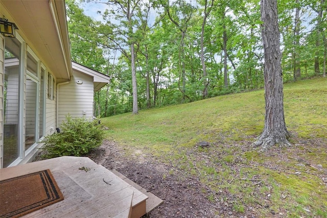 19072 Bear Trail Rd, Glencoe, MO 63038 - view of grassy yard