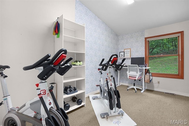 19072 Bear Trail Rd, Glencoe, MO 63038 - exercise area featuring lofted ceiling, carpet, and wallpapered walls
