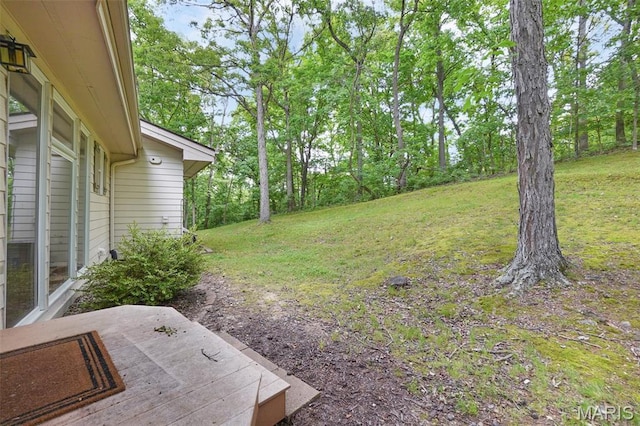 19072 Bear Trail Rd, Glencoe, MO 63038 - view of grassy yard