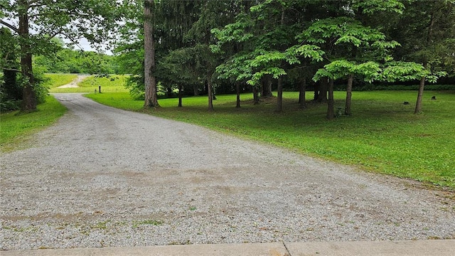 189 County Road 657, Cape Girardeau, MO 63701 - view of dirt / gravel road