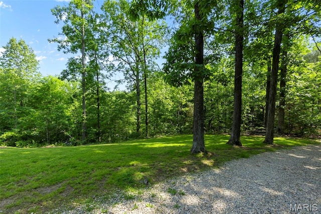 254 Rustic Hills Ln, Jackson, MO 63755 - view of wooded area