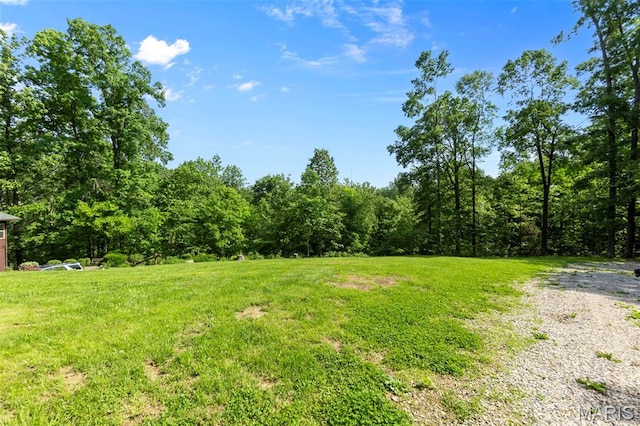254 Rustic Hills Ln, Jackson, MO 63755 - view of yard featuring a wooded view