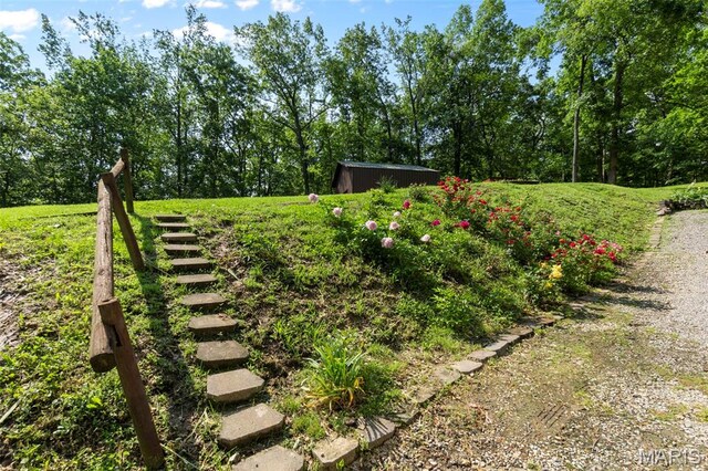 254 Rustic Hills Ln, Jackson, MO 63755 - view of yard