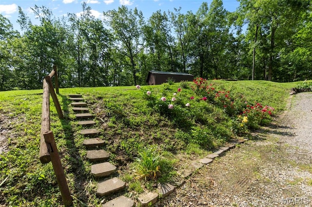 254 Rustic Hills Ln, Jackson, MO 63755 - view of yard