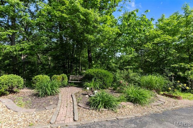254 Rustic Hills Ln, Jackson, MO 63755 - view of yard