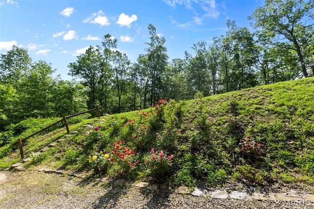 254 Rustic Hills Ln, Jackson, MO 63755 - view of nature