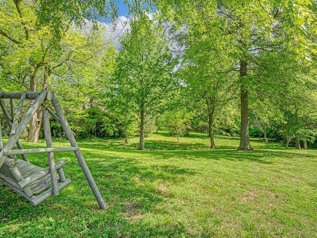 view of green lawn