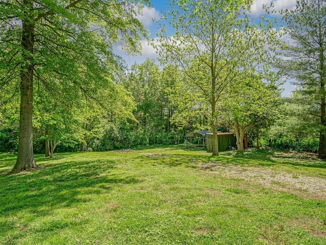 view of grassy yard featuring a wooded view