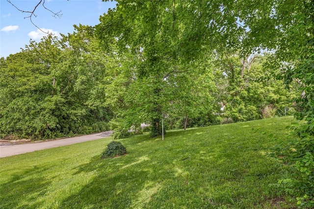 717 W Clement St, De Soto, MO 63020 - view of grassy yard featuring a wooded view