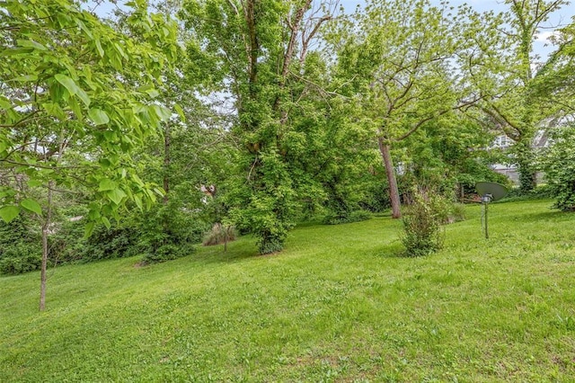 717 W Clement St, De Soto, MO 63020 - view of grassy yard