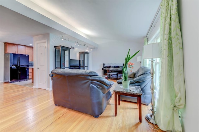 living room featuring rail lighting and light wood-style floors