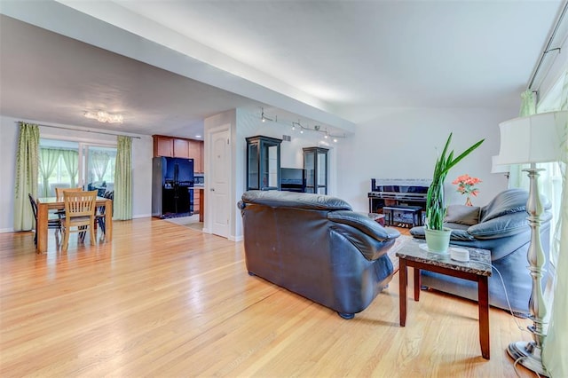 living room featuring light wood finished floors, rail lighting, and a fireplace