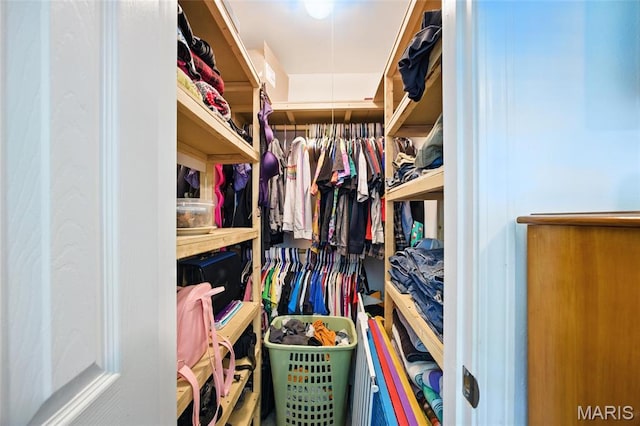8544 Lake Dr, Cedar Hill, MO 63016 - view of walk in closet