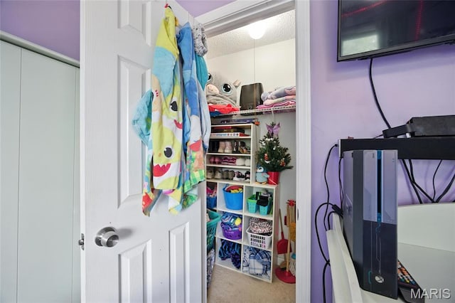 8544 Lake Dr, Cedar Hill, MO 63016 - interior space