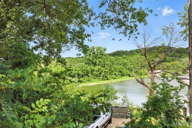 8544 Lake Dr, Cedar Hill, MO 63016 - water view with a forest