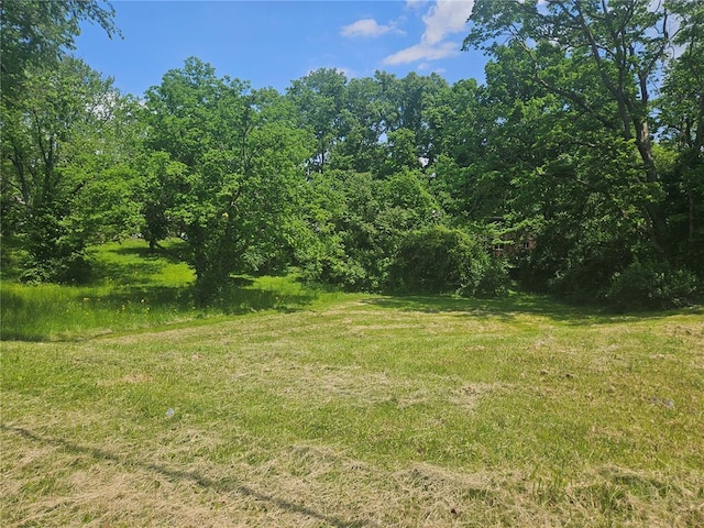 300 N Combs Ave, Collinsville, IL 62234 - photo 1