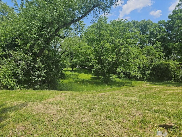 300 N Combs Ave, Collinsville, IL 62234 - photo 2