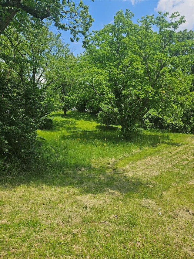 300 N Combs Ave, Collinsville, IL 62234 - photo 3