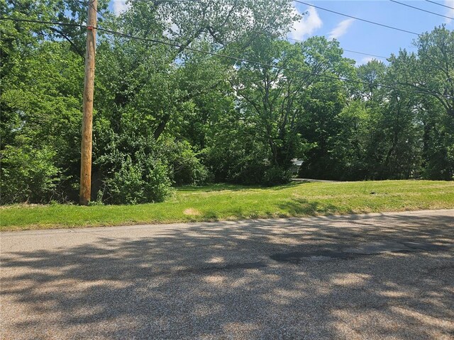 300 N Combs Ave, Collinsville, IL 62234 - photo 4