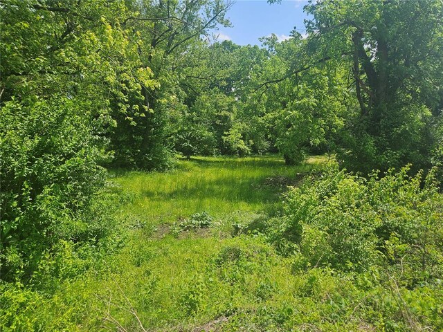 300 N Combs Ave, Collinsville, IL 62234 - photo 5