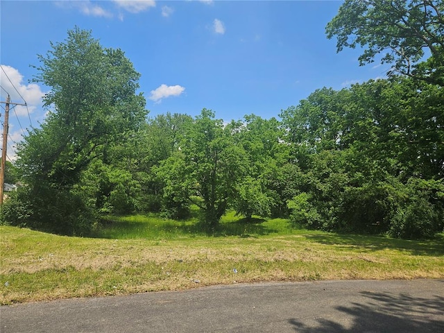 300 N Combs Ave, Collinsville, IL 62234 - photo 7