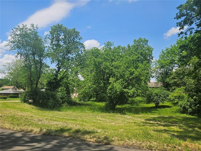 300 N Combs Ave, Collinsville, IL 62234 - photo 8