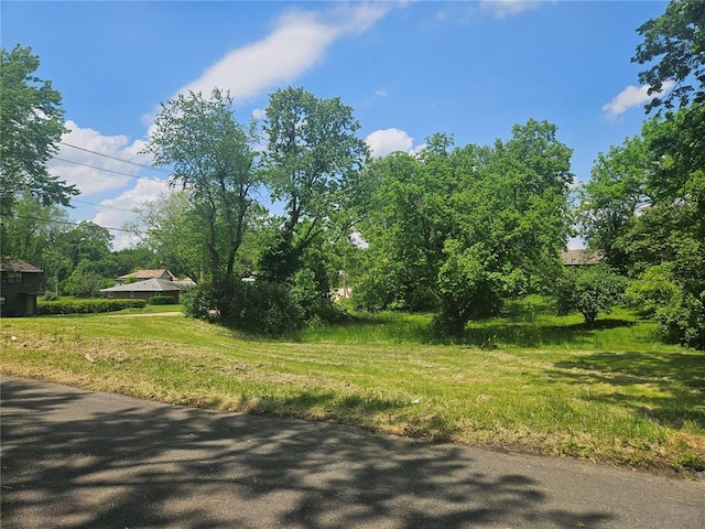 300 N Combs Ave, Collinsville, IL 62234 - photo 9