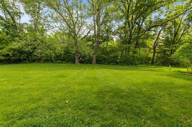 308 Wildbrier Dr, Ballwin, MO 63011 - view of green lawn