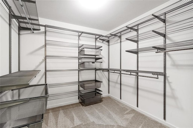 walk in closet featuring carpet floors