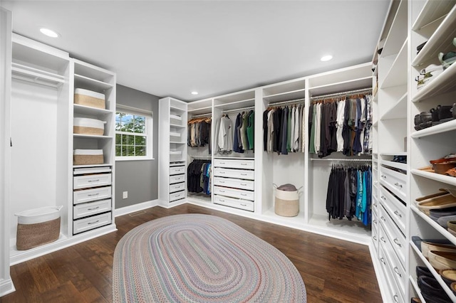 spacious closet featuring wood finished floors