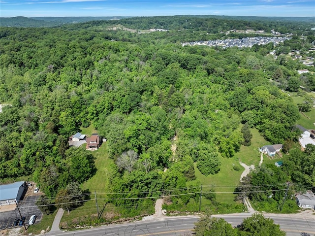 drone / aerial view of a forest