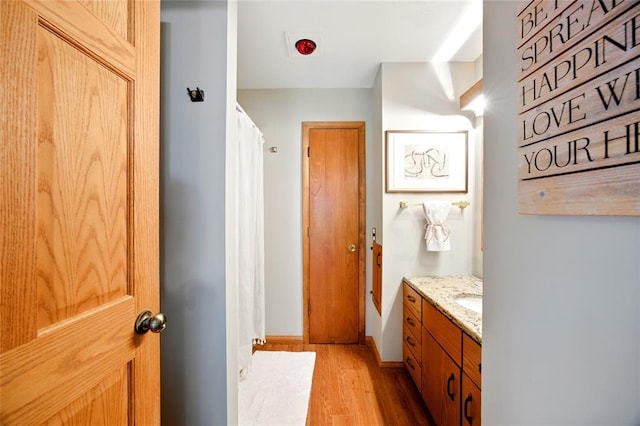 bathroom with wood finished floors and vanity