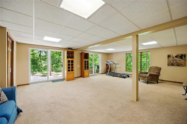 exercise room with plenty of natural light, carpet floors, and a paneled ceiling