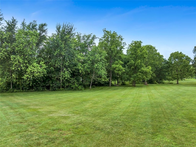 214 Townview Ct, Wentzville, MO 63385 - view of green lawn