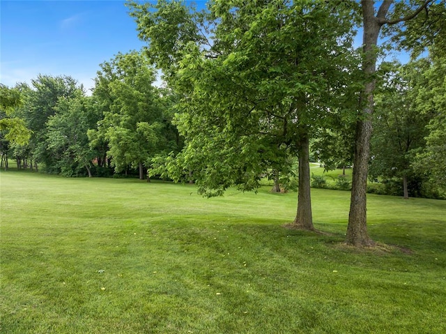 214 Townview Ct, Wentzville, MO 63385 - view of grassy yard featuring view of wooded area