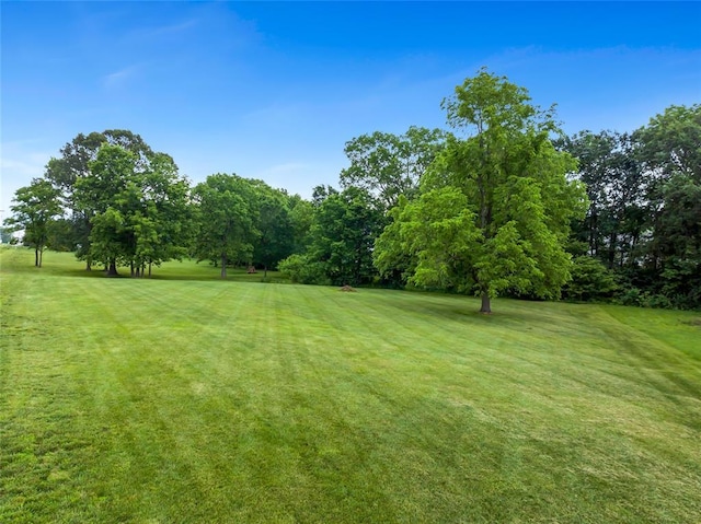 214 Townview Ct, Wentzville, MO 63385 - view of green lawn featuring view of wooded area