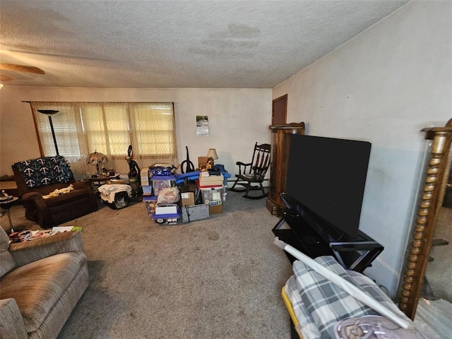 carpeted living area with a textured ceiling