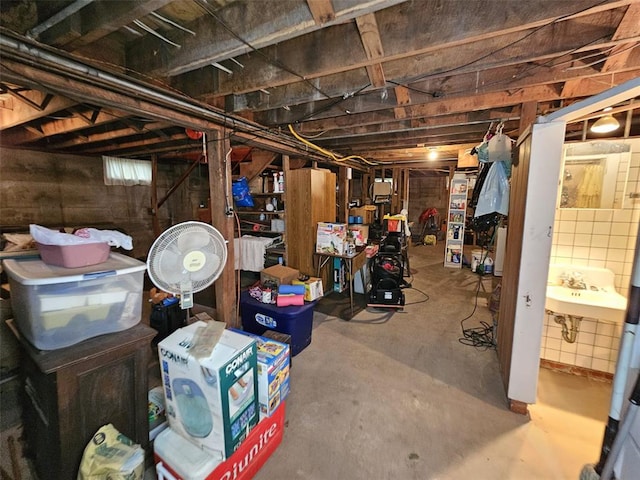 unfinished below grade area featuring a sink