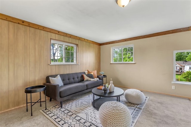living area featuring carpet floors, baseboards, and wooden walls