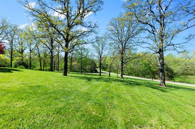 875 Pcr 500, Perryville, MO 63775 - photo 5
