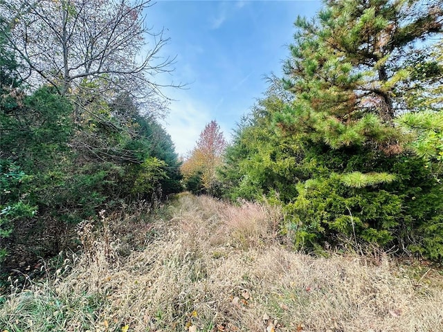 000 Nichols Dr, Houston, MO 65483
