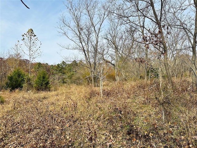 000 Nichols Dr, Houston, MO 65483