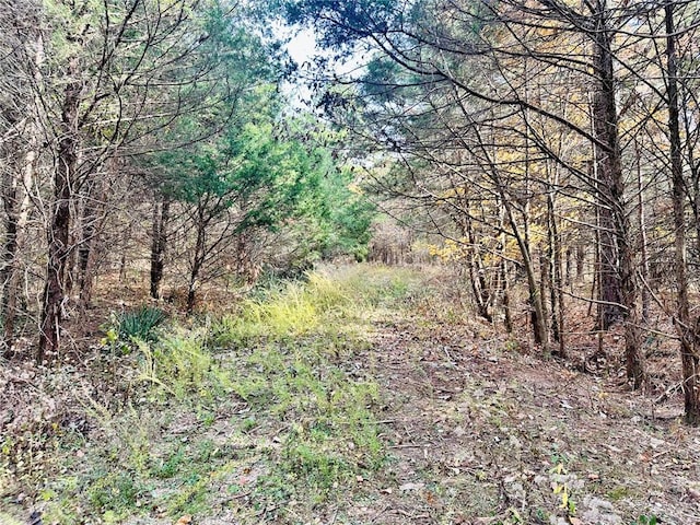 000 Nichols Dr, Houston, MO 65483
