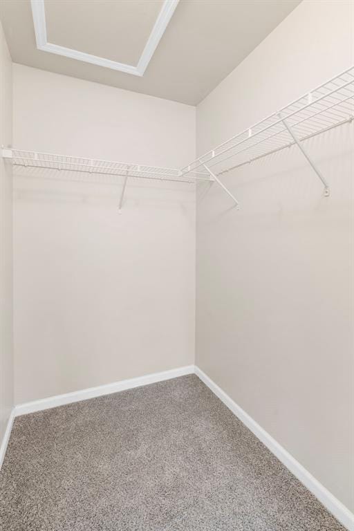 1131 Welsh Dr, Lake St Louis, MO 63367 - walk in closet featuring carpet floors