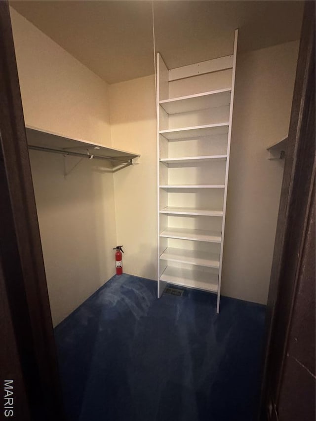 5810 White Pine Dr, Saint Louis, MO 63129 - view of spacious closet